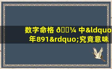 数字命格 🌼 中“年891”究竟意味着什 🌼 么